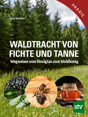 cover image of Waldtracht von Fichte und Tanne